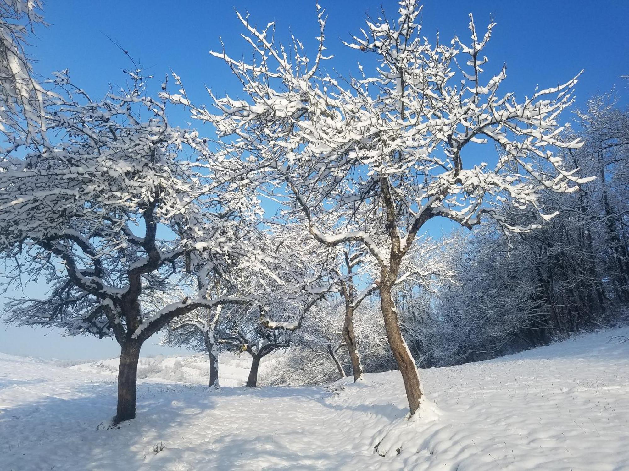 Un Pied Devant L'Autre Sainte-Marie-D'Alvey 外观 照片